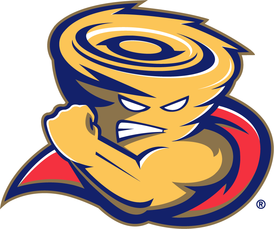 Tulsa Golden Hurricane 2006-2009 Mascot Logo diy DTF decal sticker